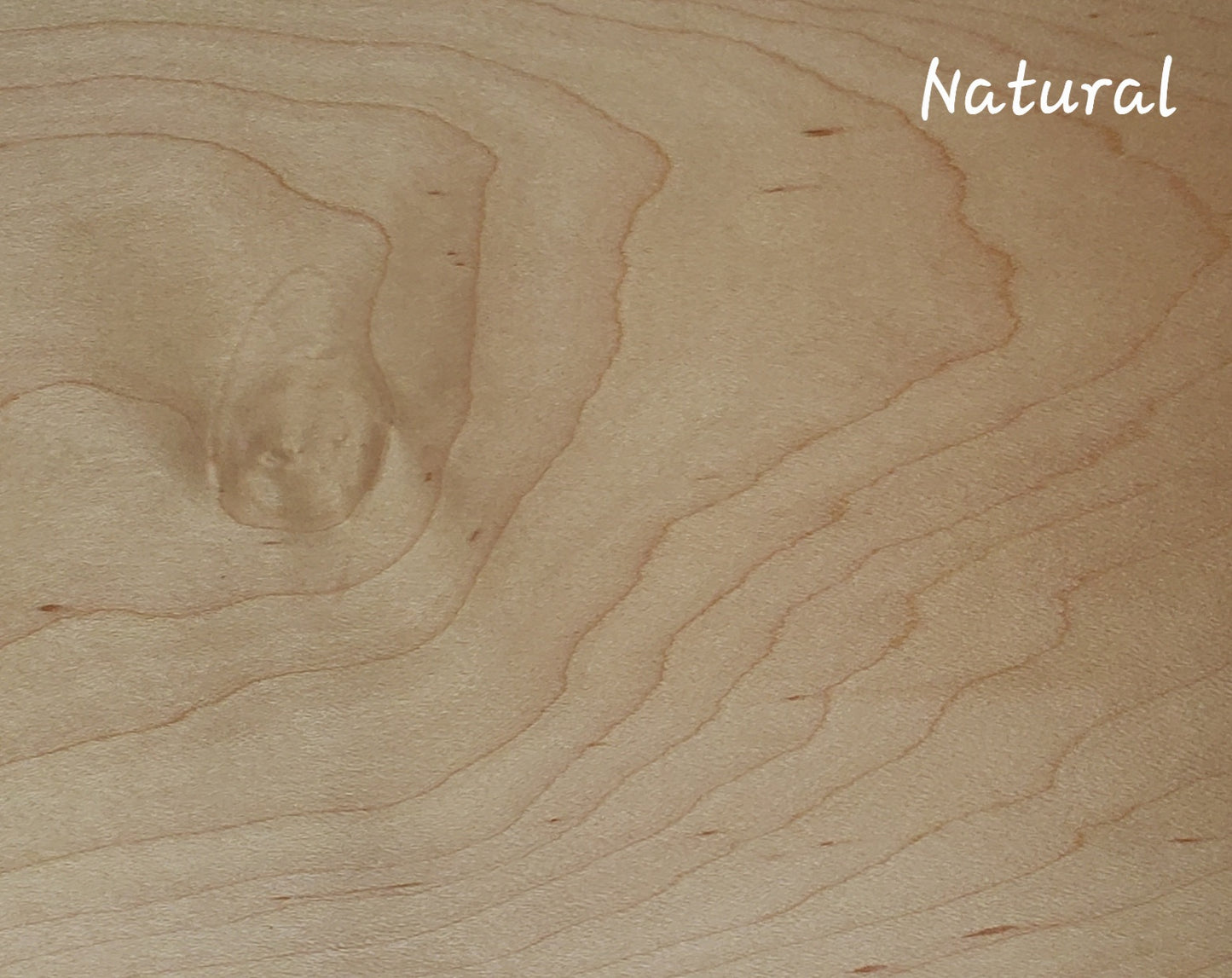 Natures embrace guestbook