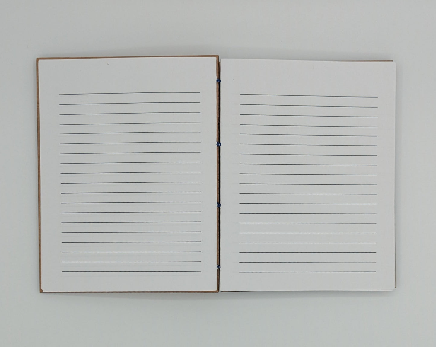 Dragonfly Notebook